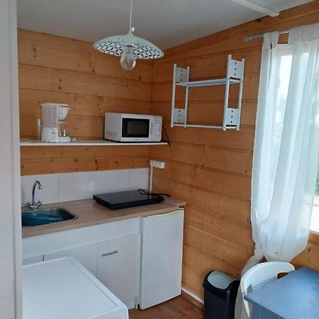 Le Petit Chalet Chanas Extérieur photo