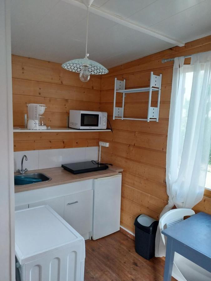 Le Petit Chalet Chanas Extérieur photo