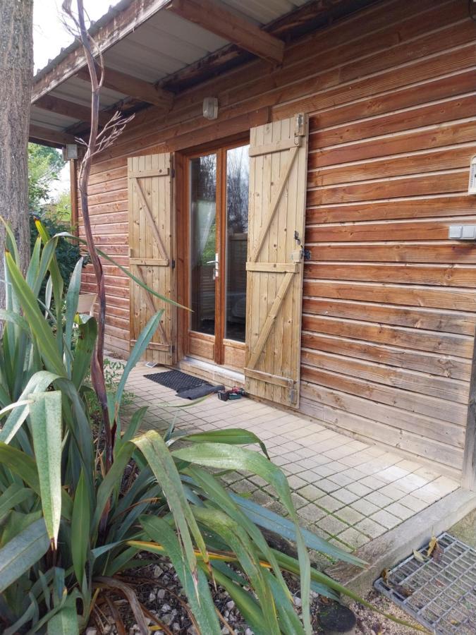Le Petit Chalet Chanas Extérieur photo